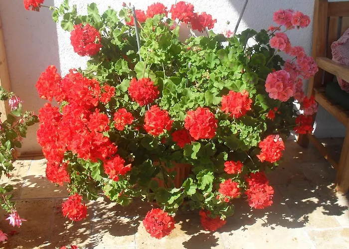 アパート Elisabeth