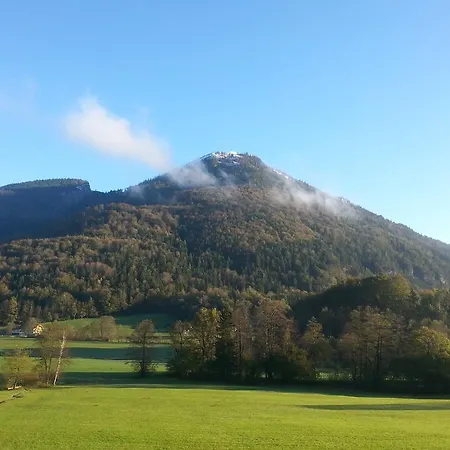 Elisabeth Saint Wolfgang