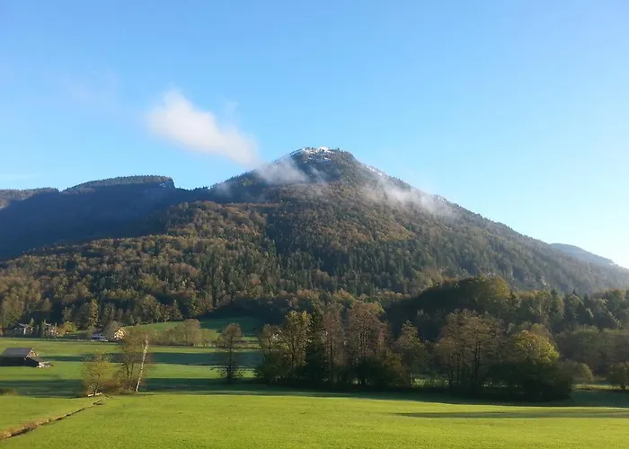 Elisabeth Saint Wolfgang